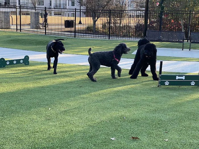 HYRO - Urban Dog Park 6