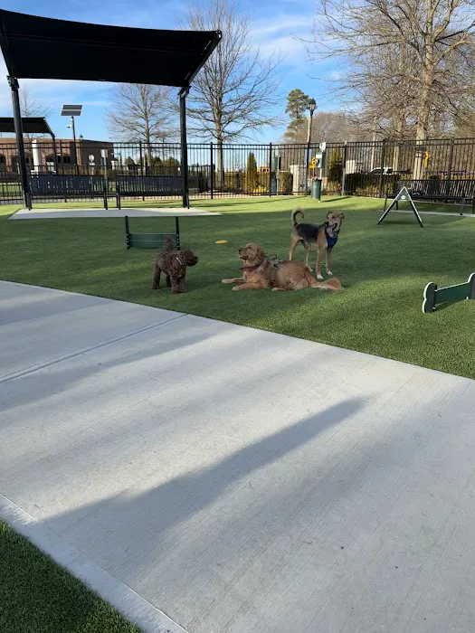 HYRO - Urban Dog Park 10