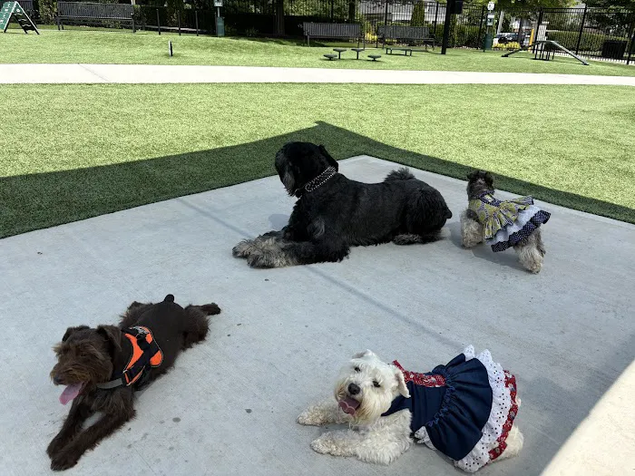 HYRO - Urban Dog Park 7
