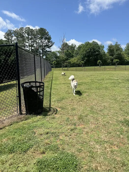 Mulberry Creek Dog Park 6