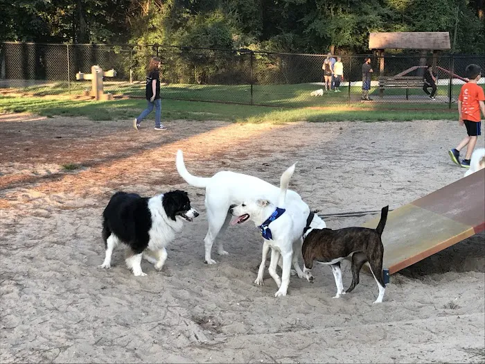 Rabbit Hill Park- Dog Park 3