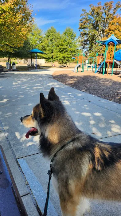 Rabbit Hill Park- Dog Park 6