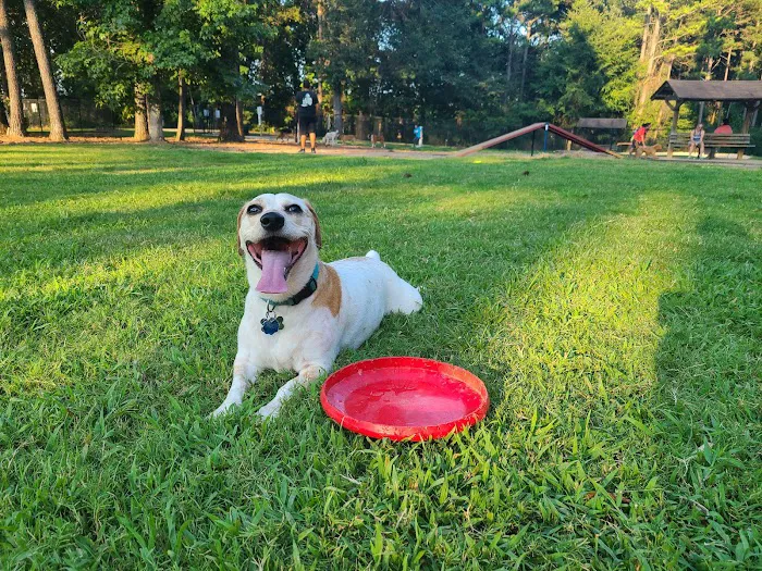 Rabbit Hill Park- Dog Park 9
