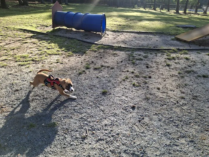 Rabbit Hill Park- Dog Park 1