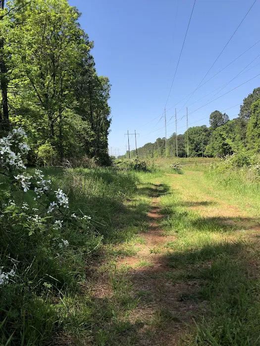 Rabbit Hill Park- Dog Park 7