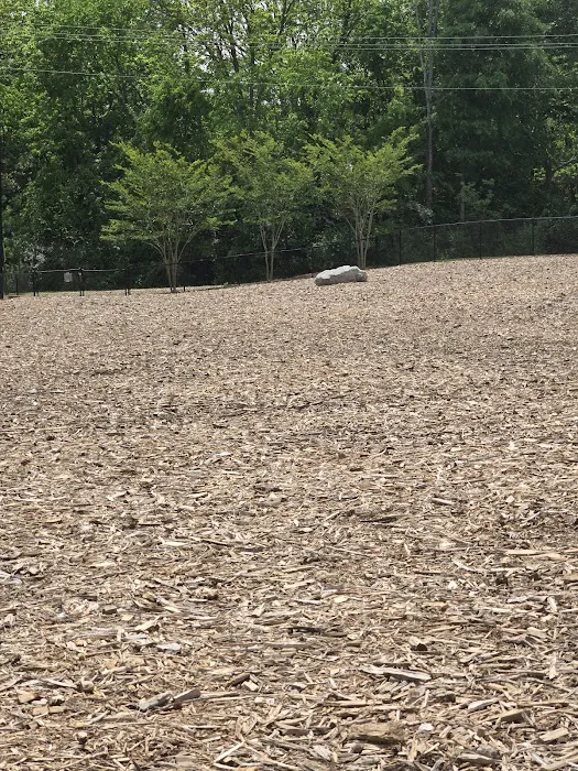Southbend DogPark 6