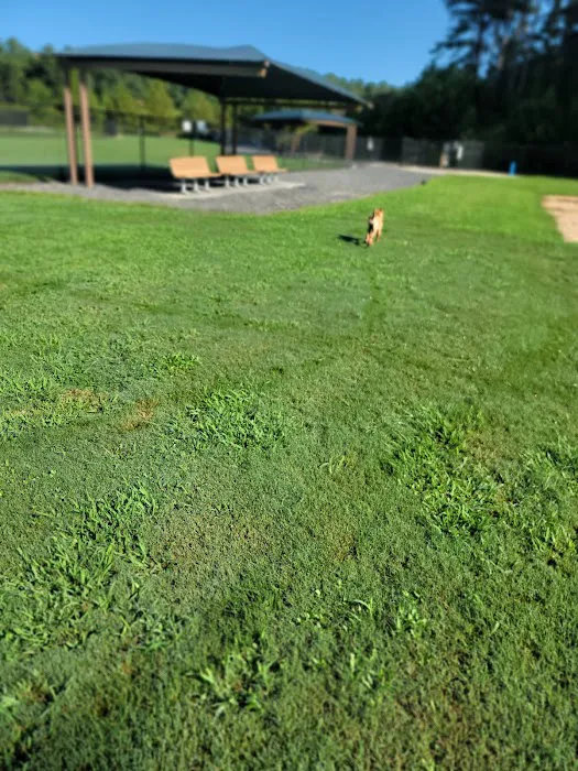 Harbins Dog Park 6