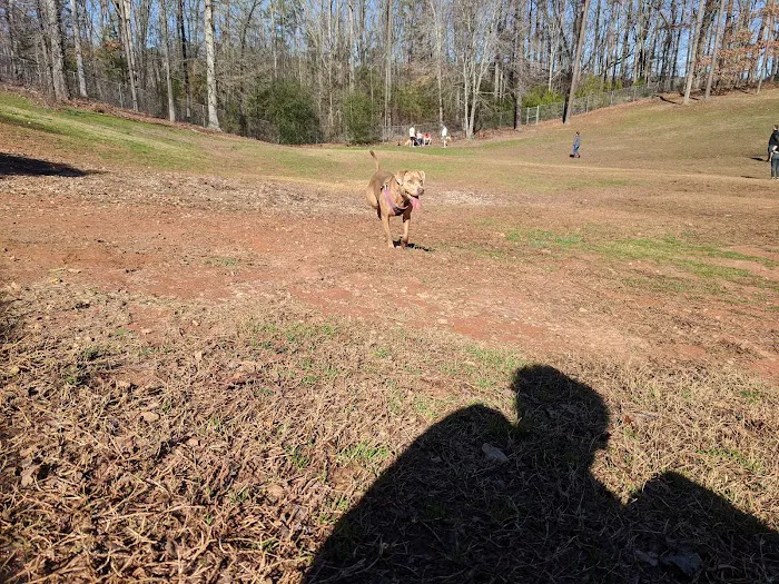 Laurel Bark Park 1