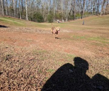 Laurel Bark Park