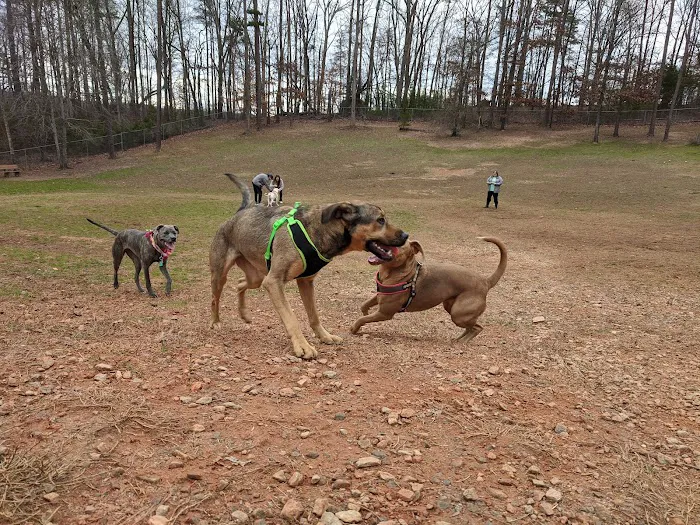 Laurel Bark Park 2