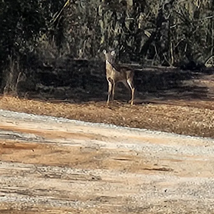 Laurel Bark Park 10