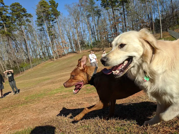 Laurel Bark Park 5