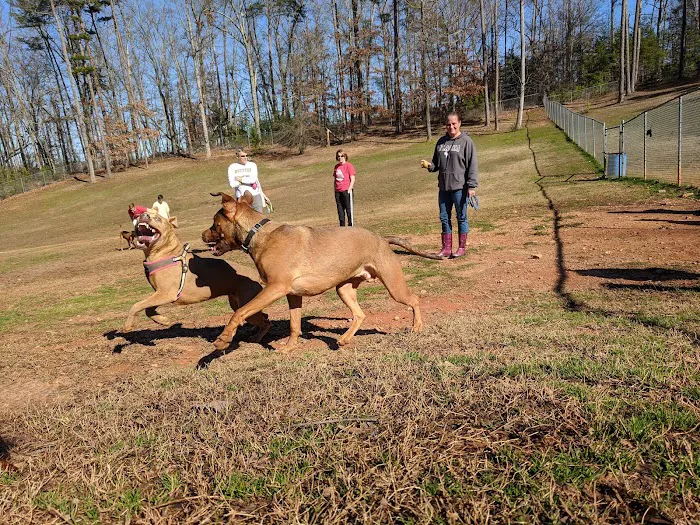 Laurel Bark Park 3
