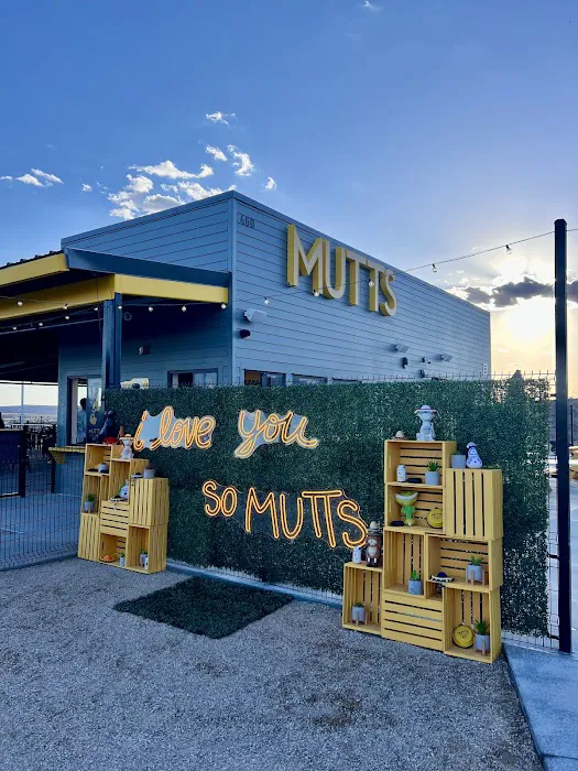 MUTTZ El Paso- Dog Park Bar 8