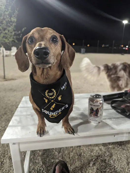 MUTTZ El Paso- Dog Park Bar 6