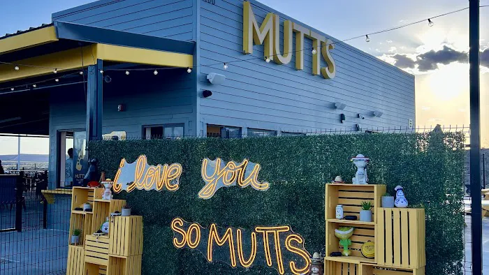MUTTZ El Paso- Dog Park Bar 4