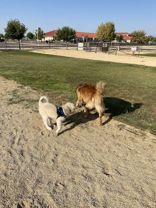 Dog Park 3