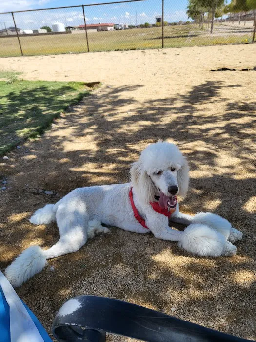 Dog Park 1