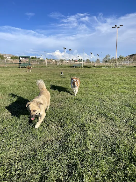 Westside Dog Park 10