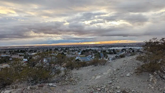 Westside Dog Park 9