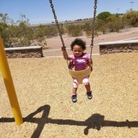 Westside Dog Park ico