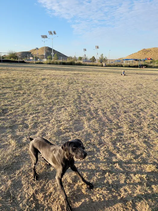 Westside Dog Park 7