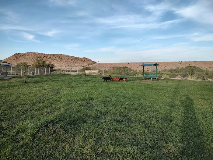 Westside Dog Park 6