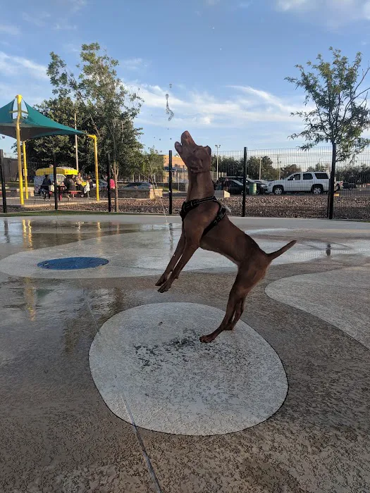 Pavo Real Splash Park/Dog Water Park 8