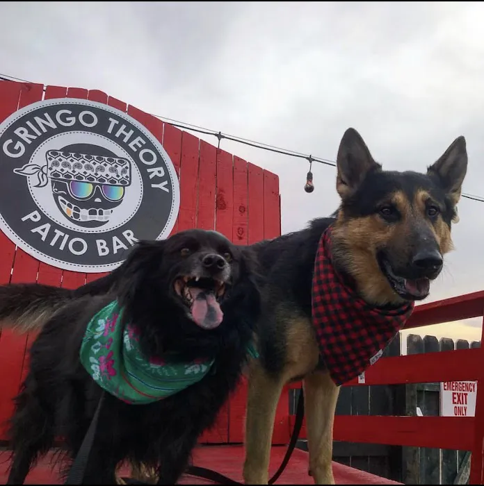 Gringo’s Bark Park 4