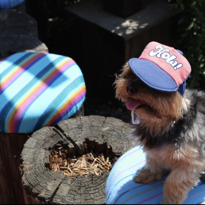Gringo’s Bark Park 5