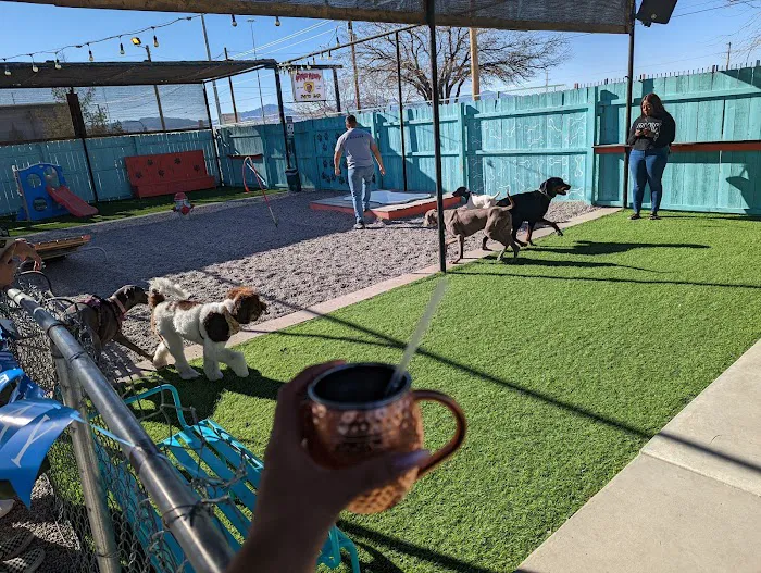 Gringo’s Bark Park 1
