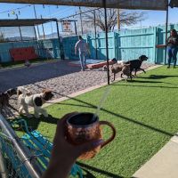 Gringo’s Bark Park ico