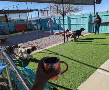 Gringo’s Bark Park