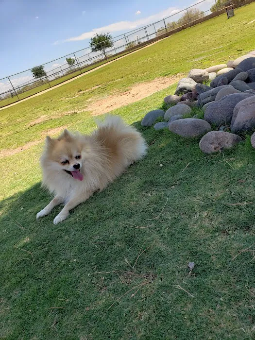 Tierra Buena Dog Park 6