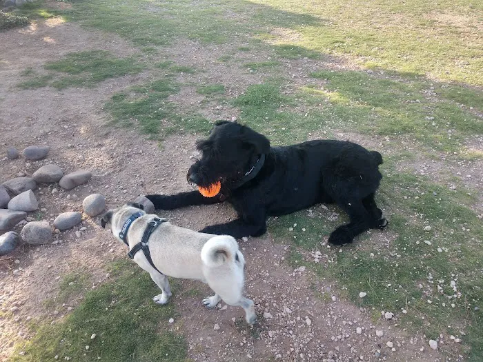 Tierra Buena Dog Park 4
