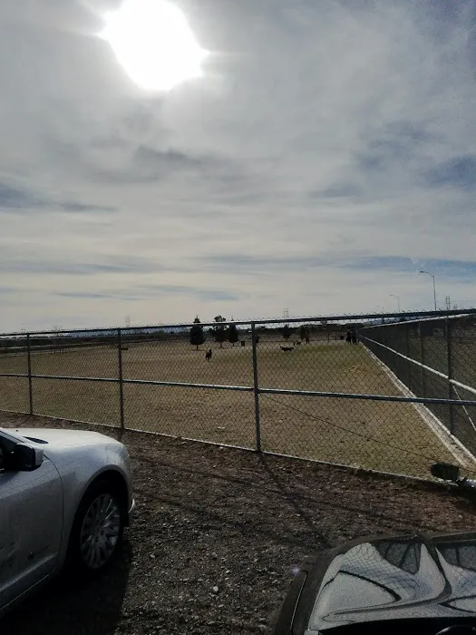 Tierra Buena Dog Park 7