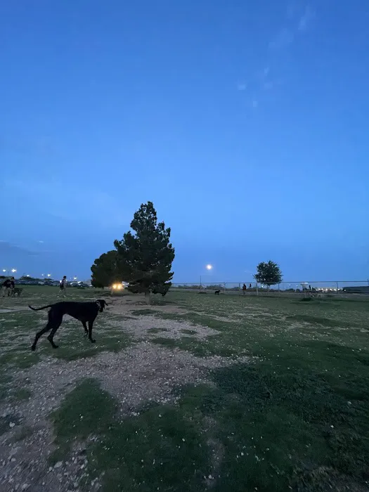 Tierra Buena Dog Park 1
