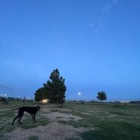 Tierra Buena Dog Park ico