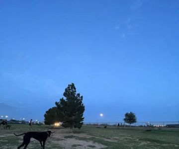 Tierra Buena Dog Park