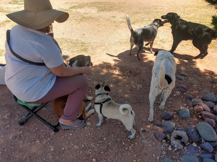 Tierra Buena Dog Park 2