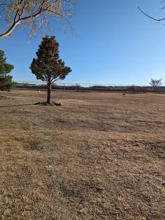 Tierra Buena Dog Park 3