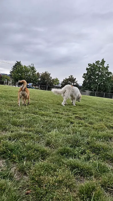 Washington High School Dog Park 7