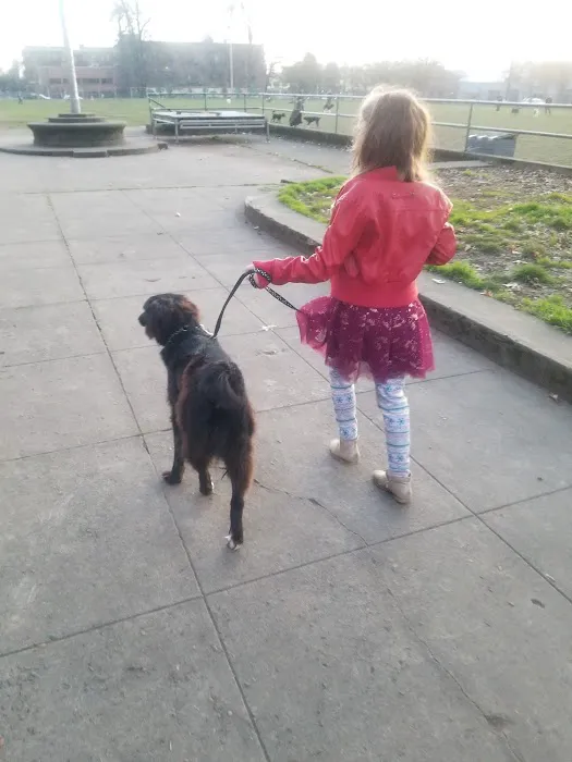 Washington High School Dog Park 10
