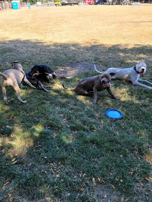 Washington High School Dog Park 8