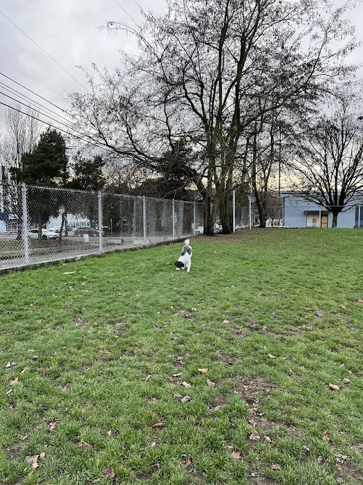Washington High School Dog Park 9