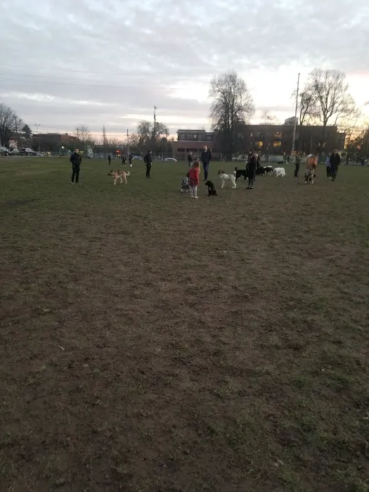 Washington High School Dog Park 4