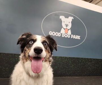 Good Dog Park