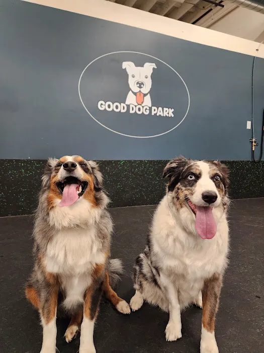 Good Dog Park 2