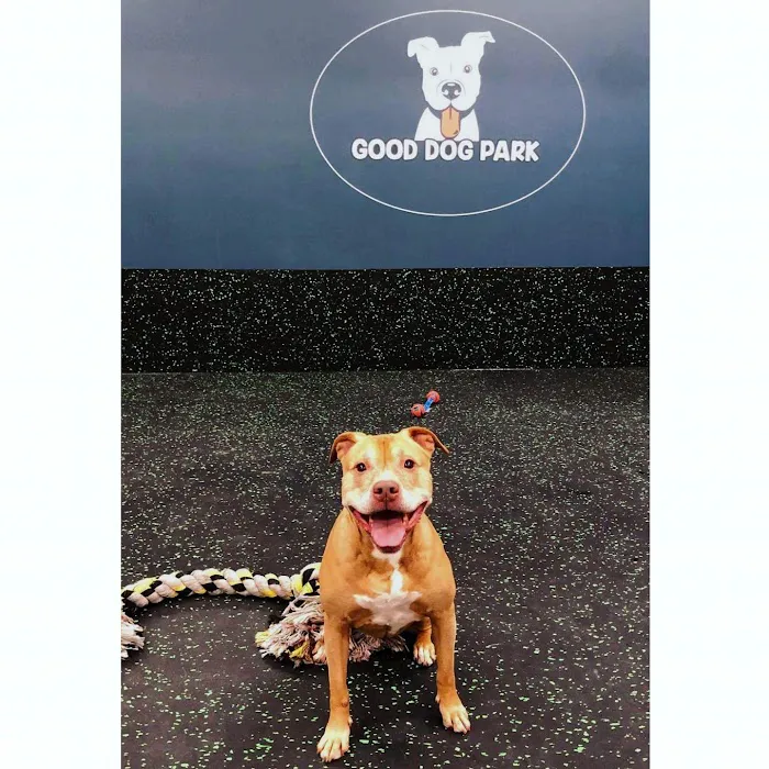 Good Dog Park 3