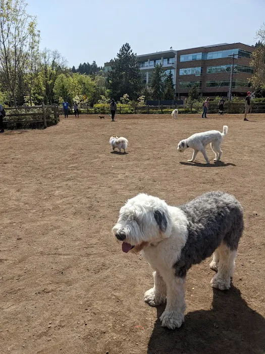 Willamette Park Off-Leash Dog Area 4